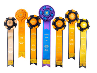 Award Winners