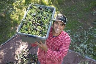 Certified CA EVOO - California Extra Virgin Olive Oil